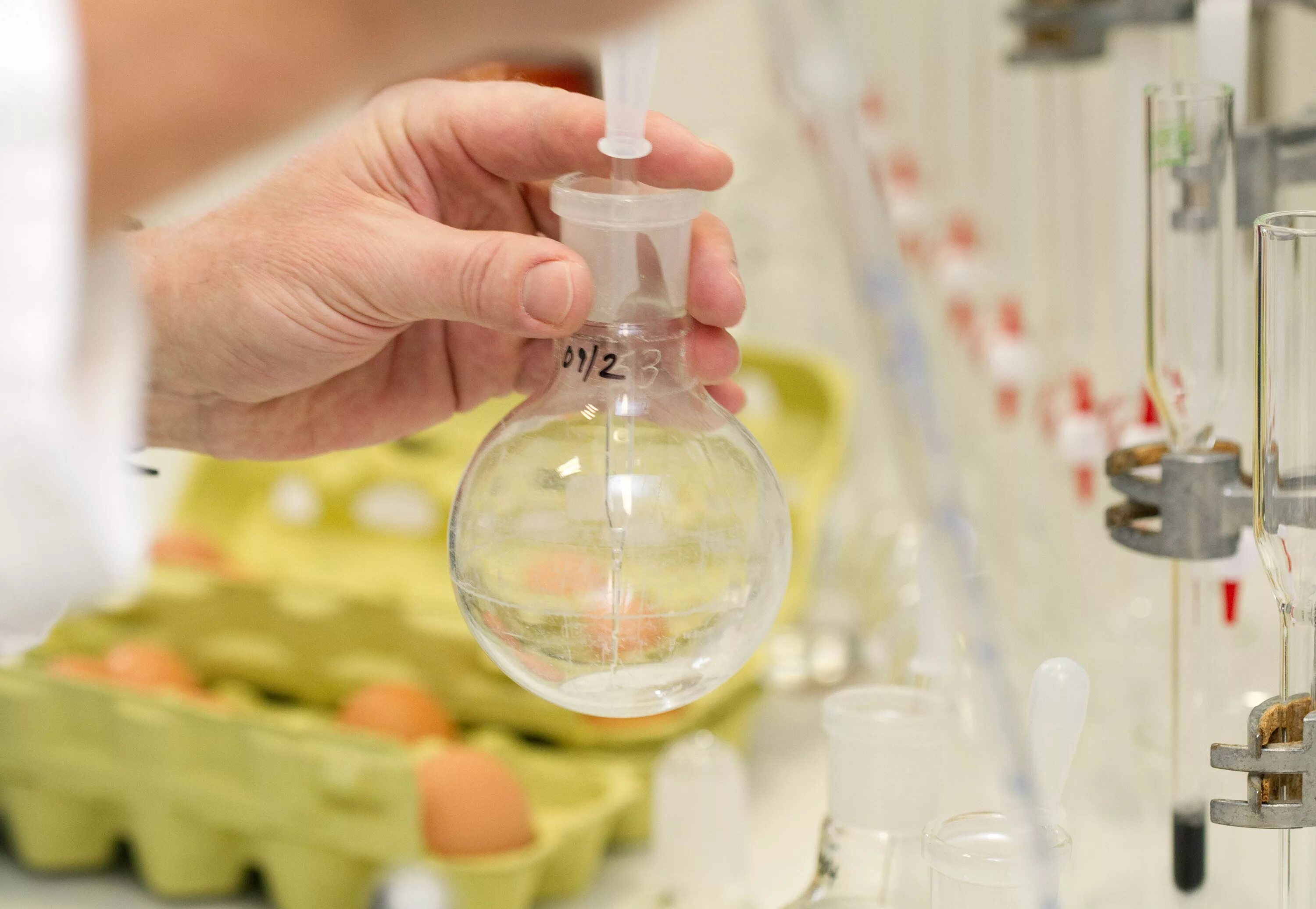 Биотестирование отхода. Микроводоросль хлорелла биотопливо. Биотестирование отхода. Лаборатория биотестирования. Биотестирование отходов 5 класса.