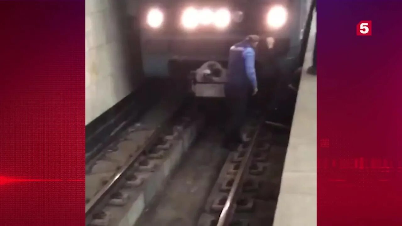 Упал на рельсы метро москвы. Рельсы метро. Мужчина упал на рельсы в метро. Поезд призрак в московском метро. Рельсы метро.