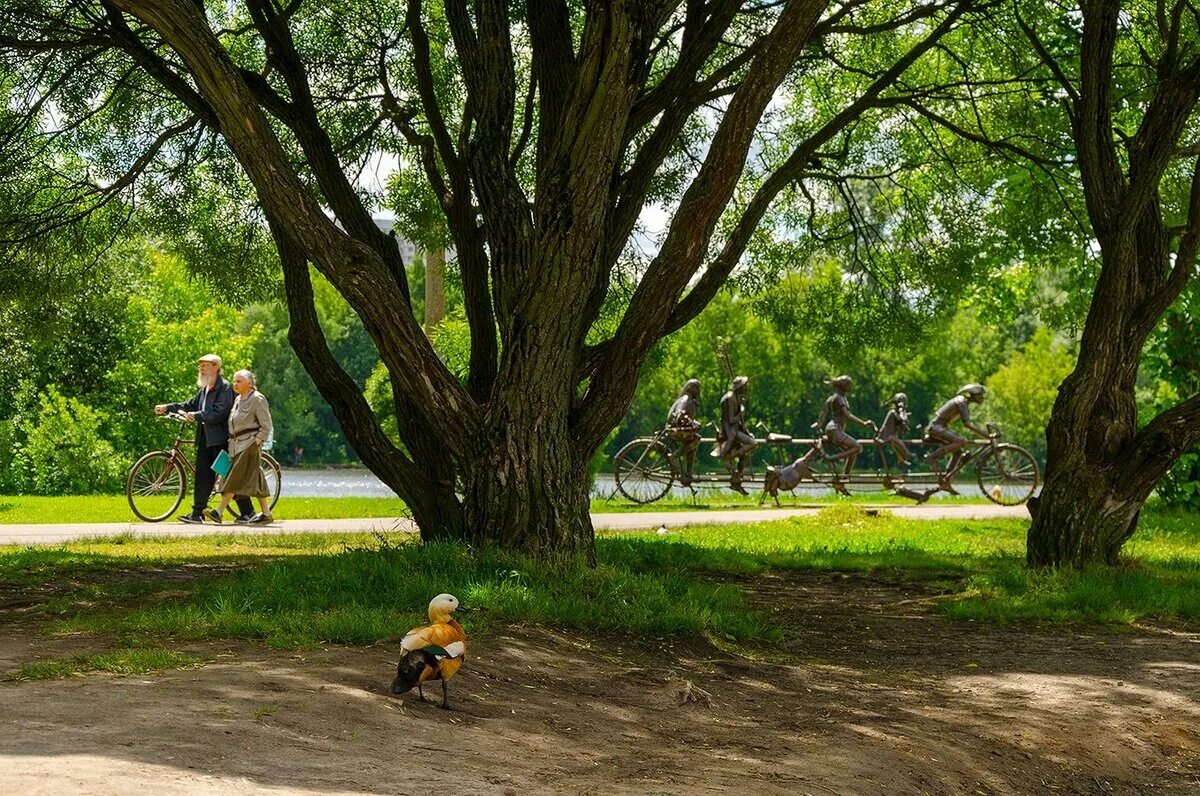 Парк погулять с детьми. Прогулка в парке. Прогулочные парки. Прогулка в парке лето. Прогулочная в парке.