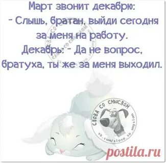 Звоните декабрю