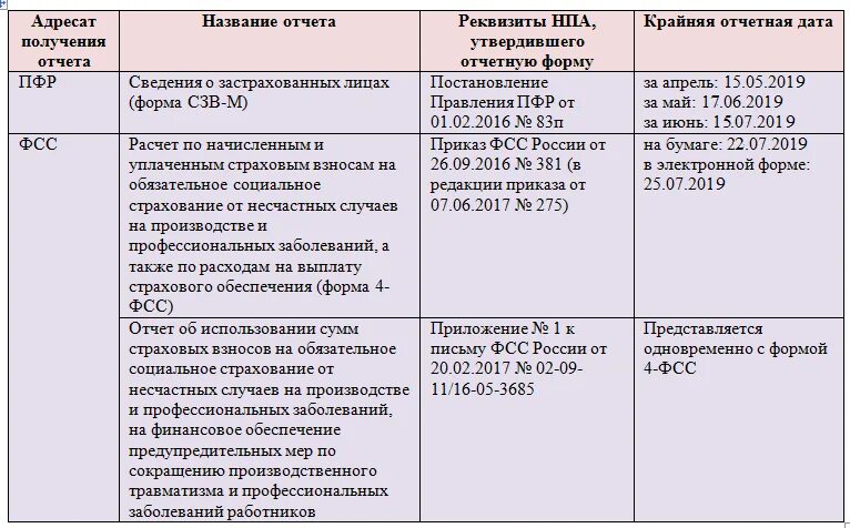 Отчет ефс 1 сроки сдачи в 2024