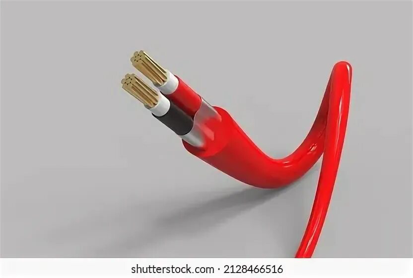 Red flex. Red flex