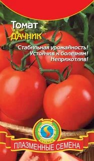 Сорт томата дачник характеристика и описание