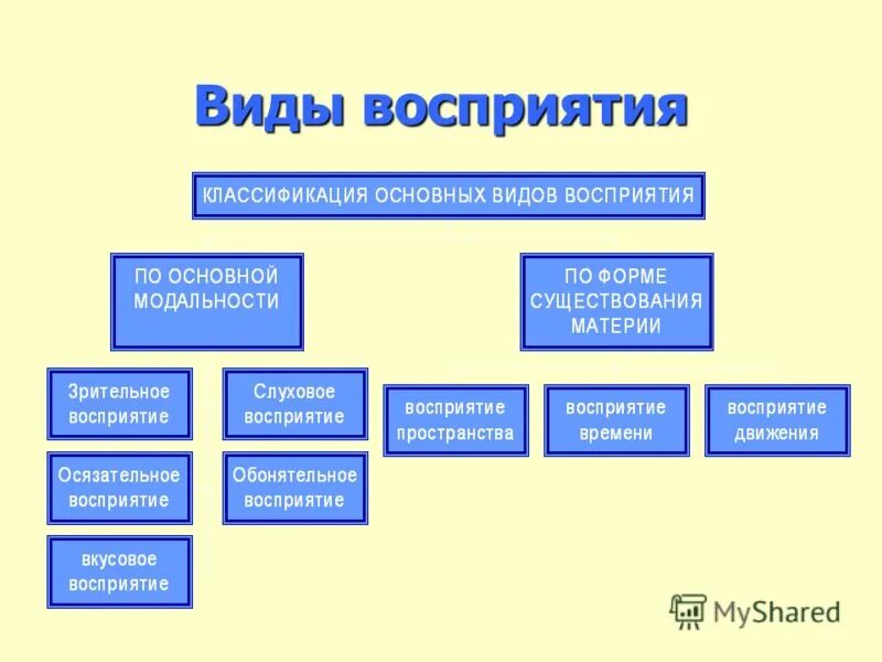 Типы восприятия текста. Типы восприятия текста
