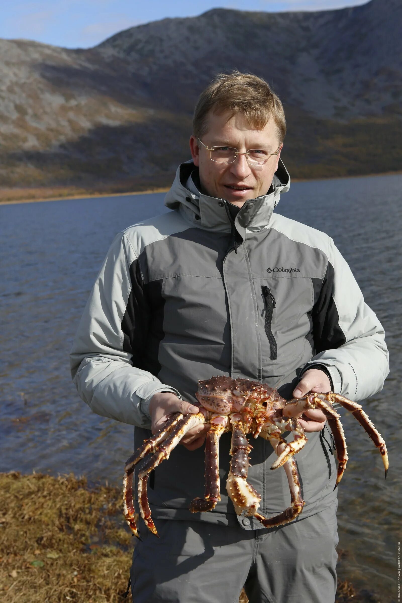 Краб магадан. Ловля крабов. Магаданский краб. Ловля краба на Камчатке.