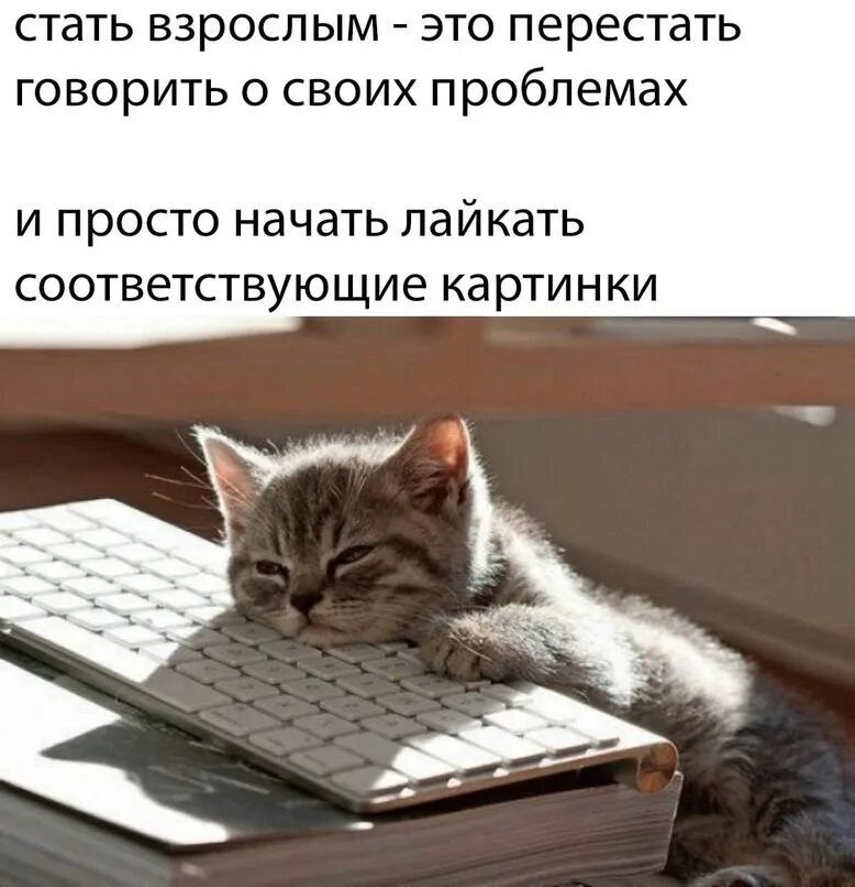 Уставший котик. Скука юмор. Скучно картинки прикольные. Приколы про скуку на работе. Когда вышел альбом скучаю но работаю