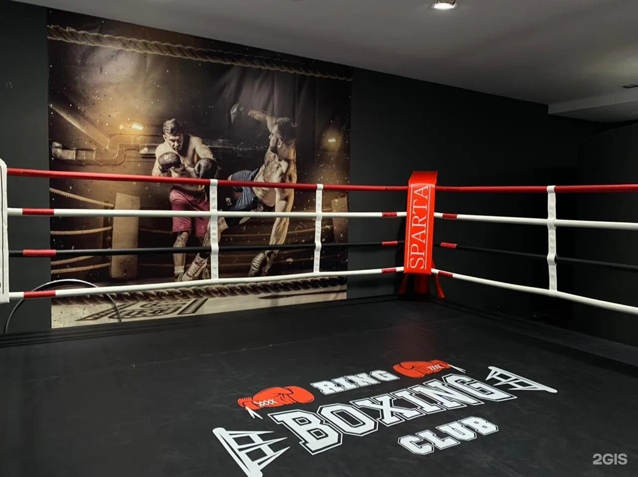 Максима Горького 68 Тюмень. Тюмень улица Максима Горького 68 Ring Boxing Club. Боксинг клаб. Боксерский клуб дизель.