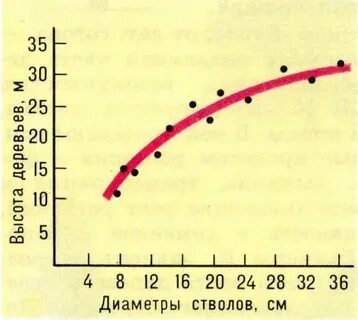 График высот деревьев