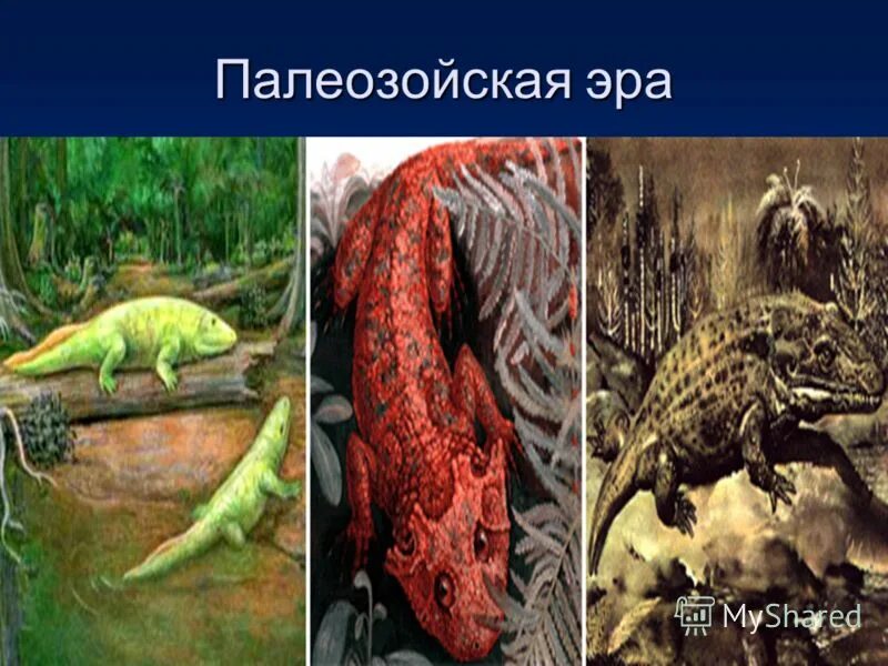 палеозойский период. палеозой эра. третий период палеозойской эры 5. эра силурийский период. третий период палеозойской эры 5.