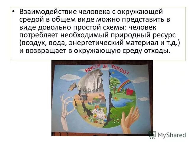 Процессы взаимодействия человека со средой обитания - Telegraph