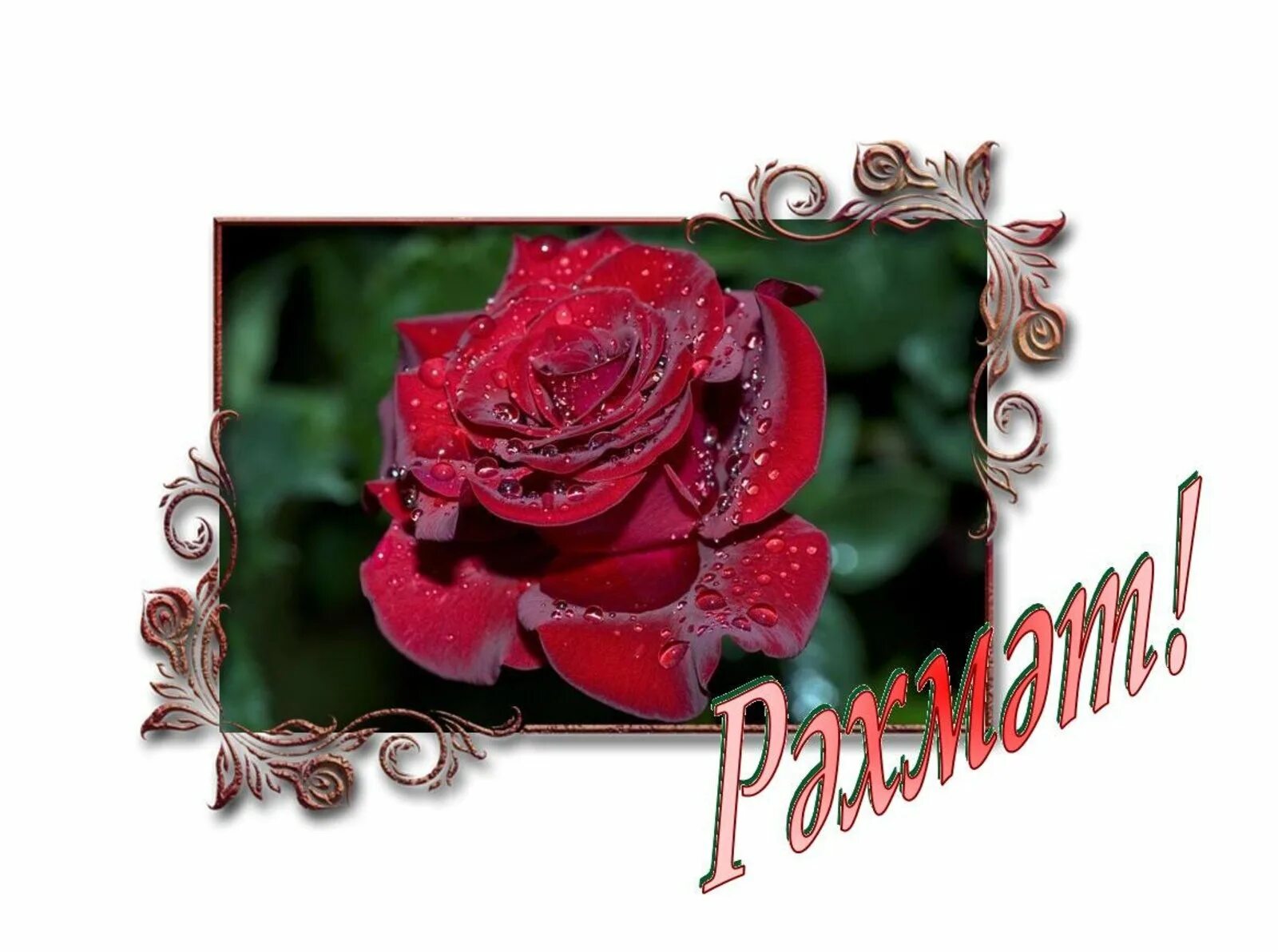 Рахмят