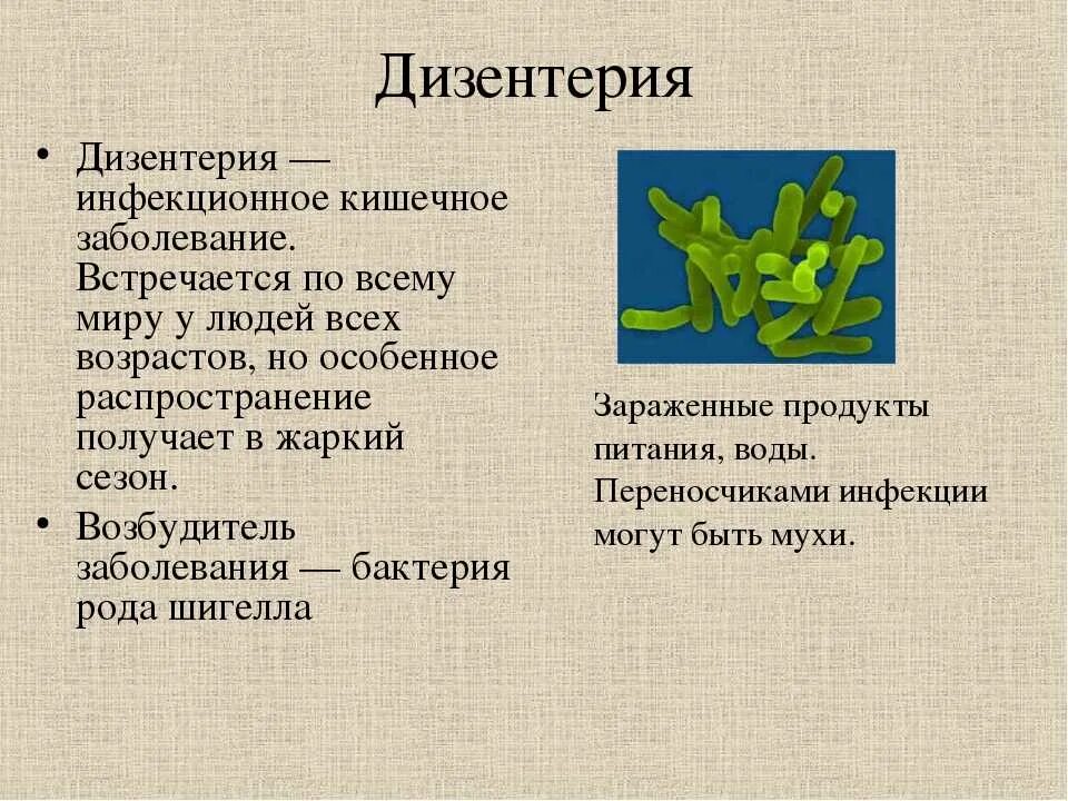 Дизентерия вирусное заболевание. Дизентерия возбудитель инфекции. Шигелла дизентерия 1 типа. Шигеллы дизентерия симптомы. Дизентерия характеристика.