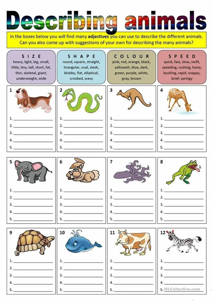 Worksheets животные. Животные Worksheets for Kids. 3 Класс животные английский язык Worksheets. Задания английский английский животные.