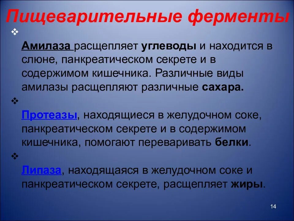 Ферменты расщепляющие углеводы содержатся