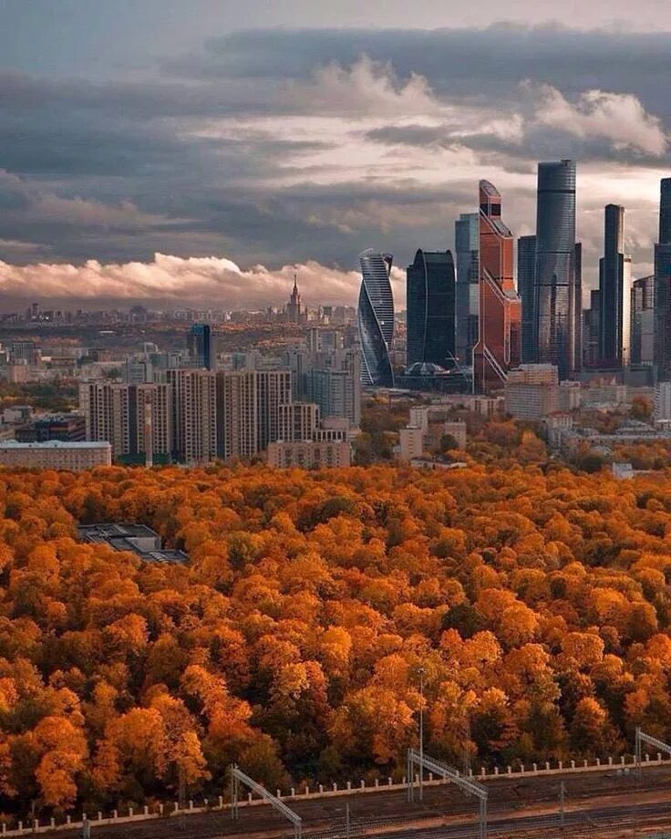 Russian city. Пейзажи Москоу Сити. Москва-Сити Россия. Москоу Сити осенью. Золотая осень Москва Сити.