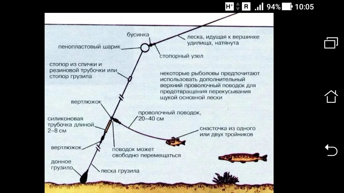 Ловля на донку оснастка: найдено 88 изображений
