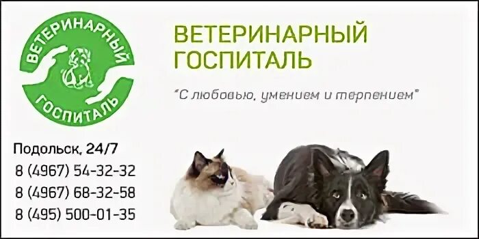 Ветеринарный госпиталь отзывы
