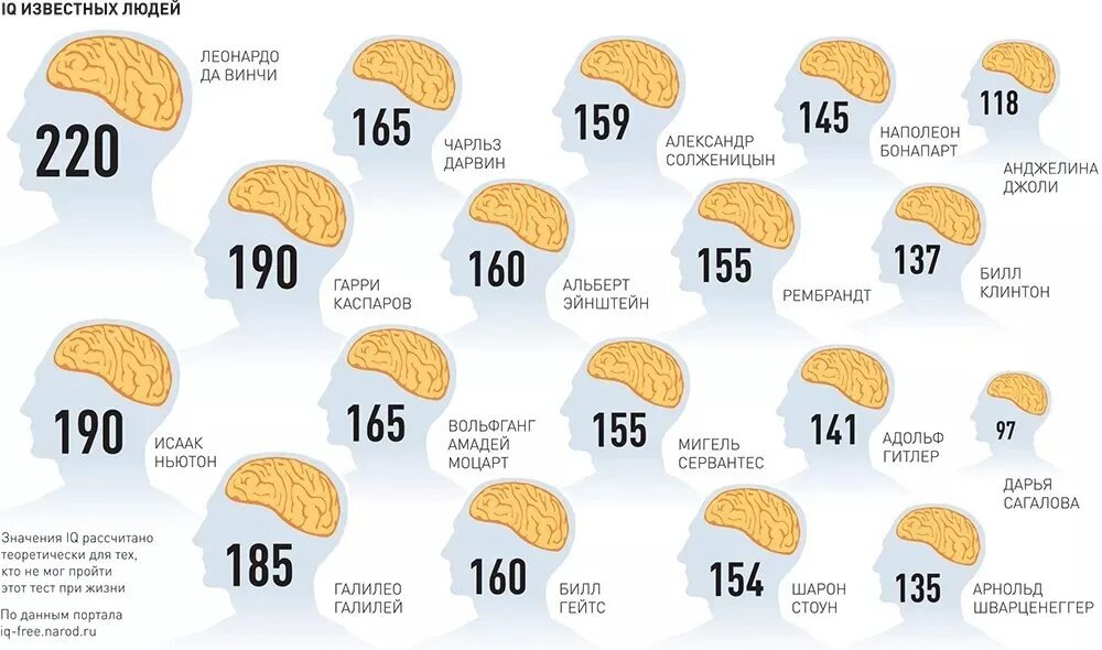 Каким должен быть айкью у нормального человека