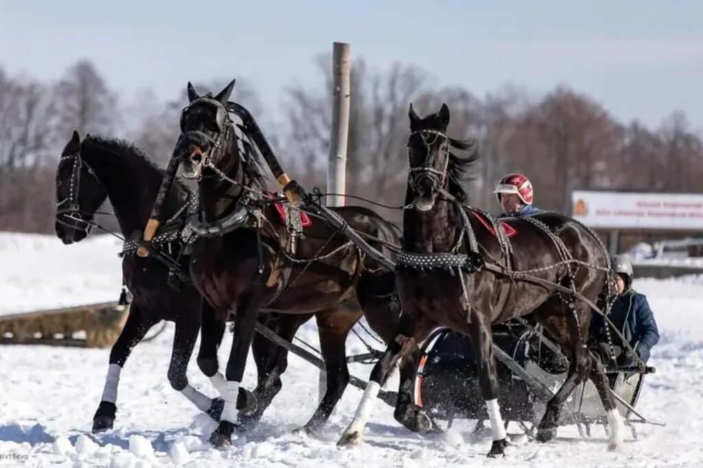 Богдарня тройка. Русская тройка. Великолепная тройка. Русские тройки бьогдарня.