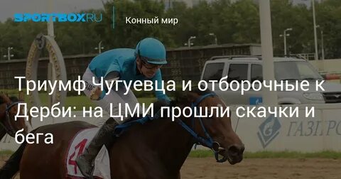 Конный мир программа