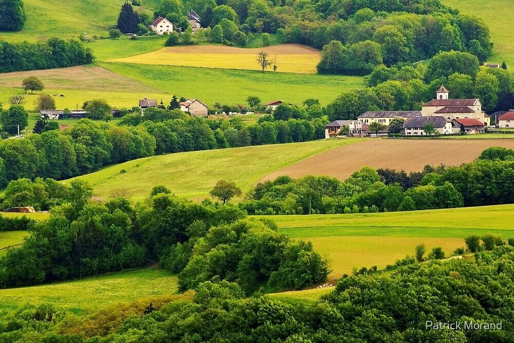 Countryside life на русском андроид. Бокаж Франция. Равнины Великобритании. Французский ландшафт. Французский бокаж.