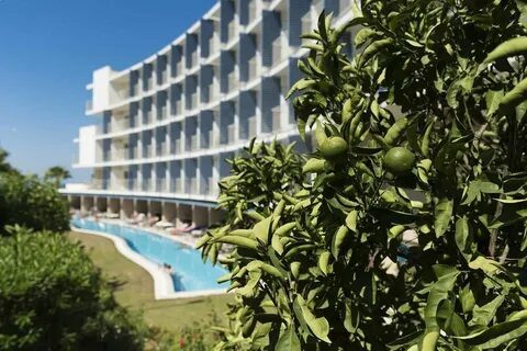 Barut andiz 4