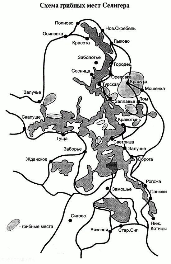 "Карта  плесов озера Селигер". Озеро Селигер схема. Схема грибных мест на озере Селигер. Карта Селигера с достопримечательностями.