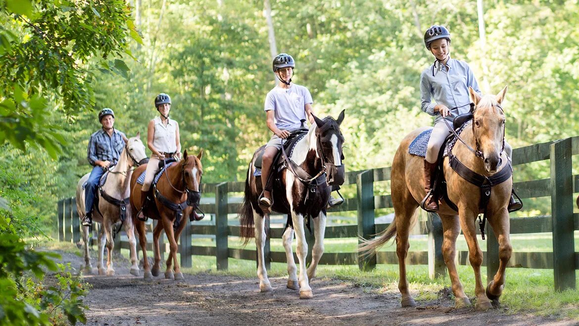 Хорс райдинг. Счастливая лошадь. Horseback riding. Horse riding Германия парк развлечений. Ride the chariot