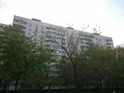 Каширское шоссе 98 домодедово