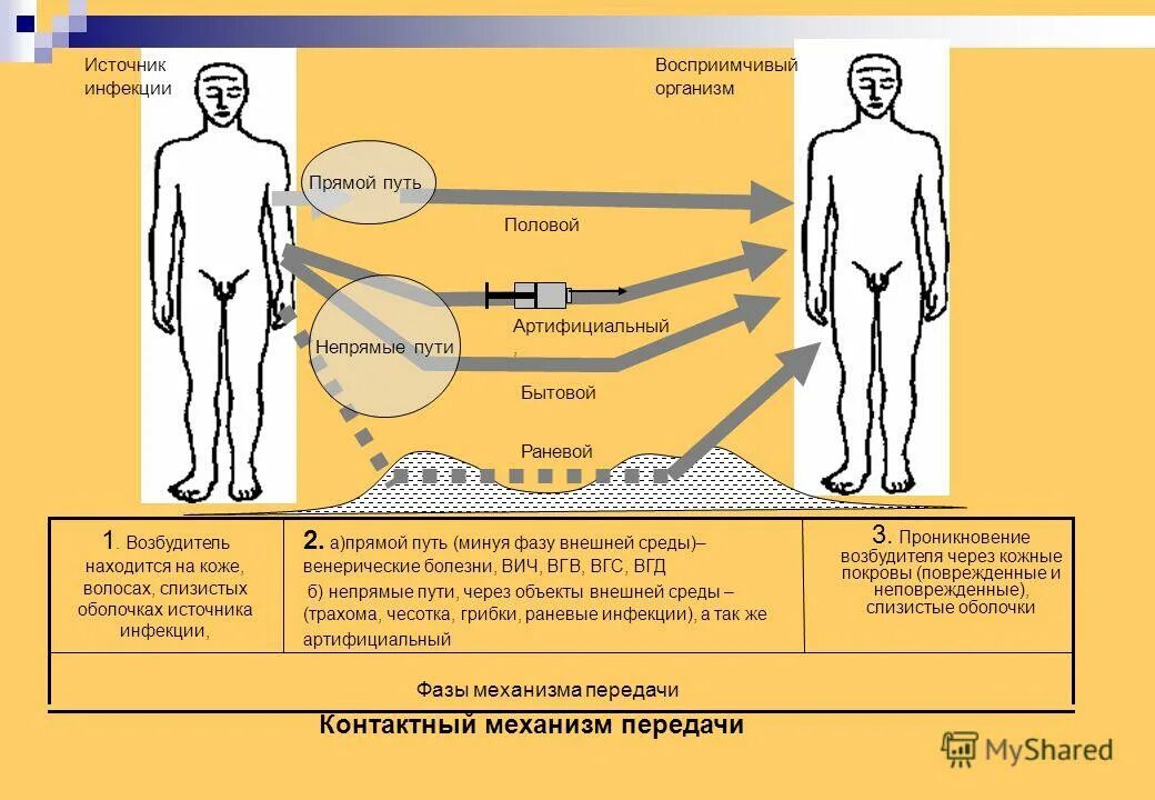 Процессы болезни человека