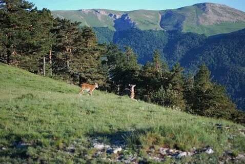 Национальные парки крыма список