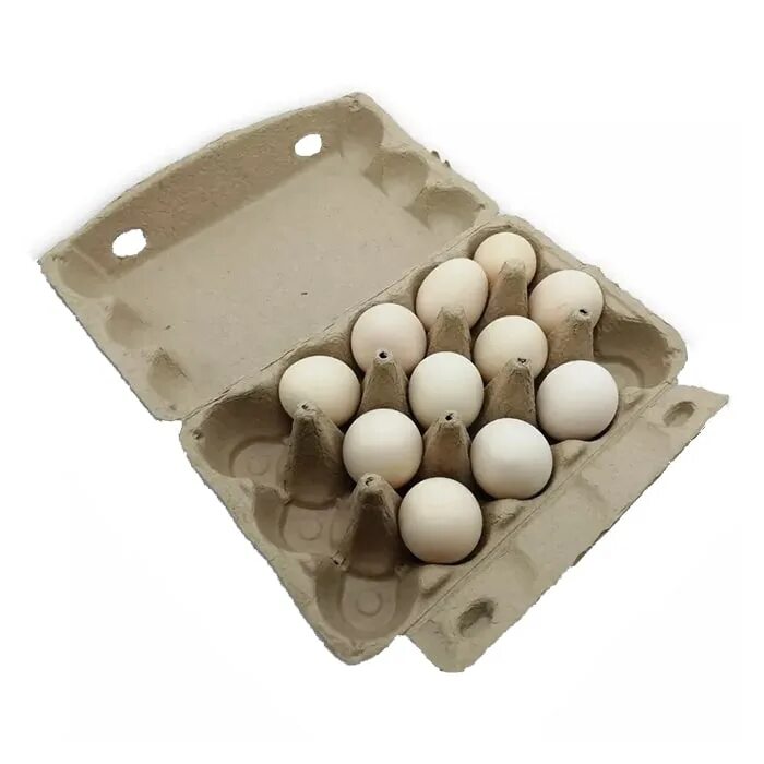 Бумажные яйца купить. Ячейки для яиц. Контейнер для яиц бумажный. Контейнеры для яиц картонные. Бумажная упаковка для яиц.