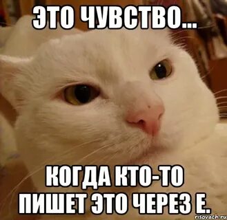 Предложили через е