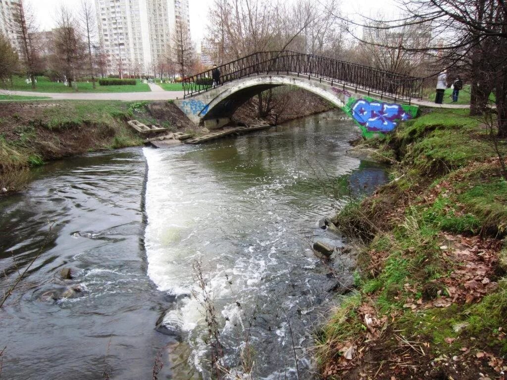 речка городня в зябликово. городня братеево. река городня. река городня орехово борисово северное. борисовские пруды река городня.