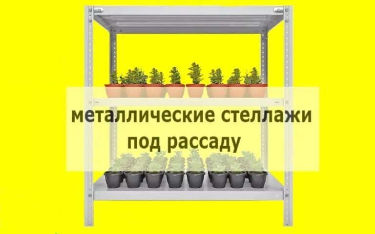 Купить металлический стеллаж для рассады. Стеллаж под рассаду. Стеллаж металлический под рассаду. Этажерка под рассаду. Стеллажи для торговли рассадой.