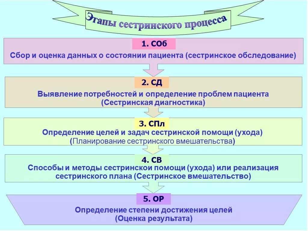 Из скольких пунктов состоит