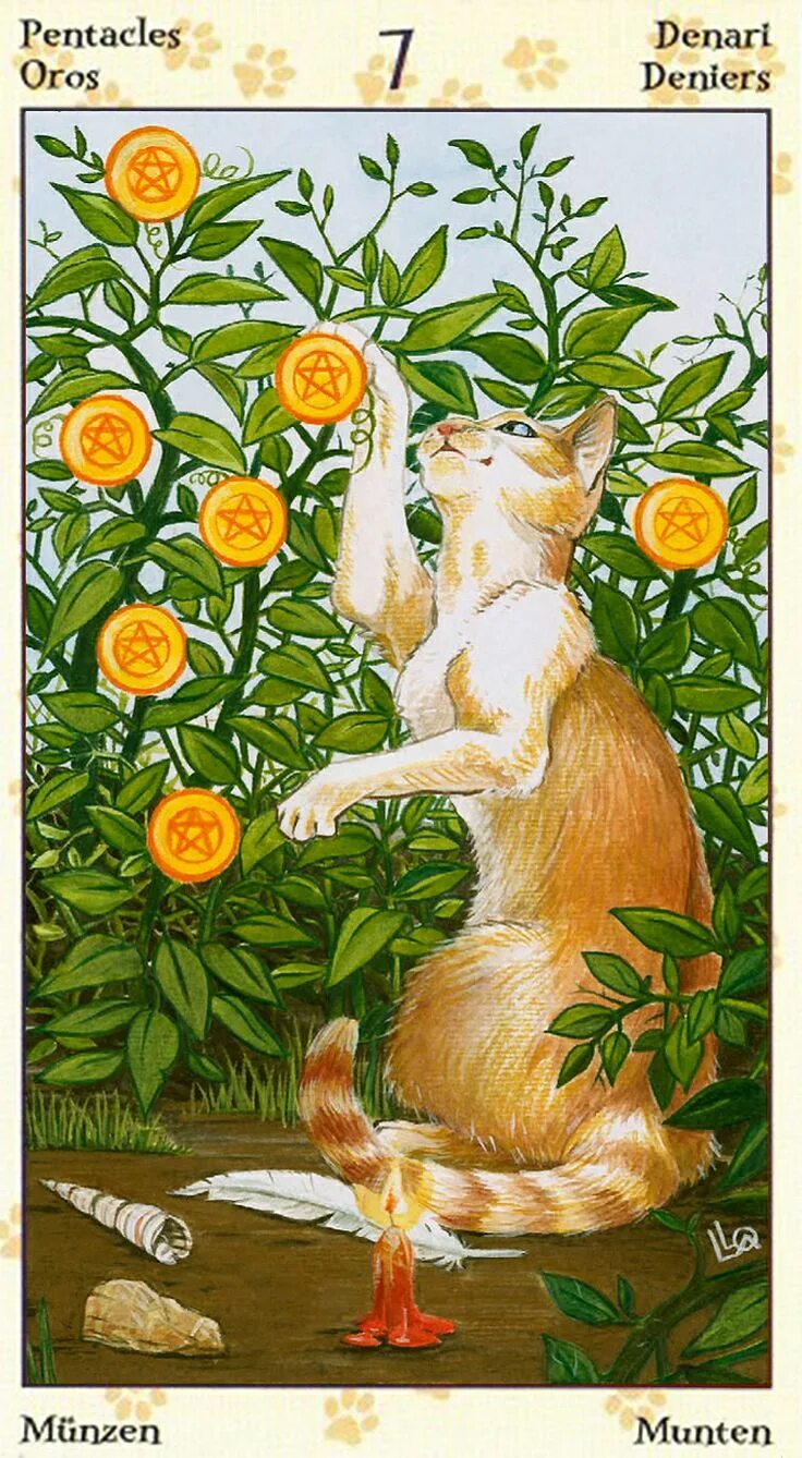 Таро котики значение. Pagan cats tarot галерея. таро пэган кэтс. tarot of pagan cats. карты таро pagan cats.