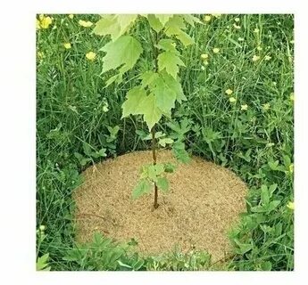 Кокосовый приствольный