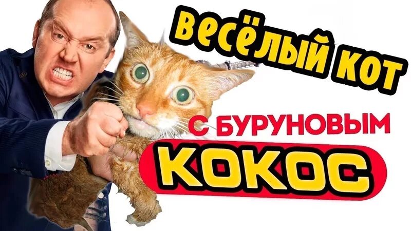 Кот кокос и мышь бурунов