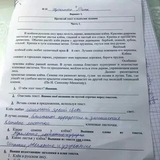 Выясните выполните