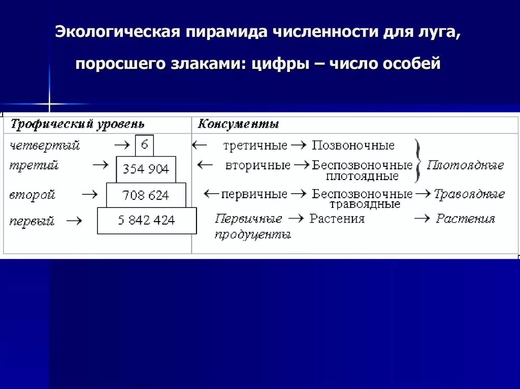 Экологическая пирамида численности. Пирамида численности примеры. Экологическая пирамида численности Луга поросшего. Экологическая пирамида число особей.