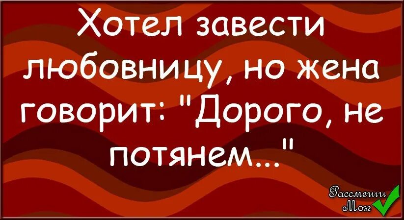 Открытка муж и жена одна сатана. Слабый мужчина. Иметь хорошего мужа. Лишняя копеечка в доме не помешает. Завела мужа.