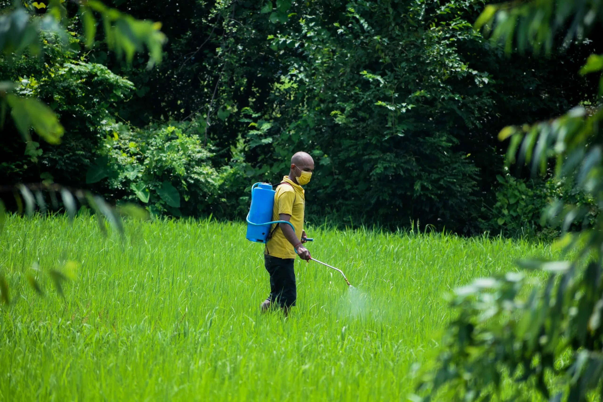 Пестициды влияют на природу картинка. Польза инсектицидов клипарт. Agricultural insurance in India. Exposure to pesticides in the Air. Влияние пестицидов на растения