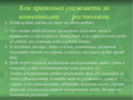 Как ухаживать за растениями презентация 1 класс