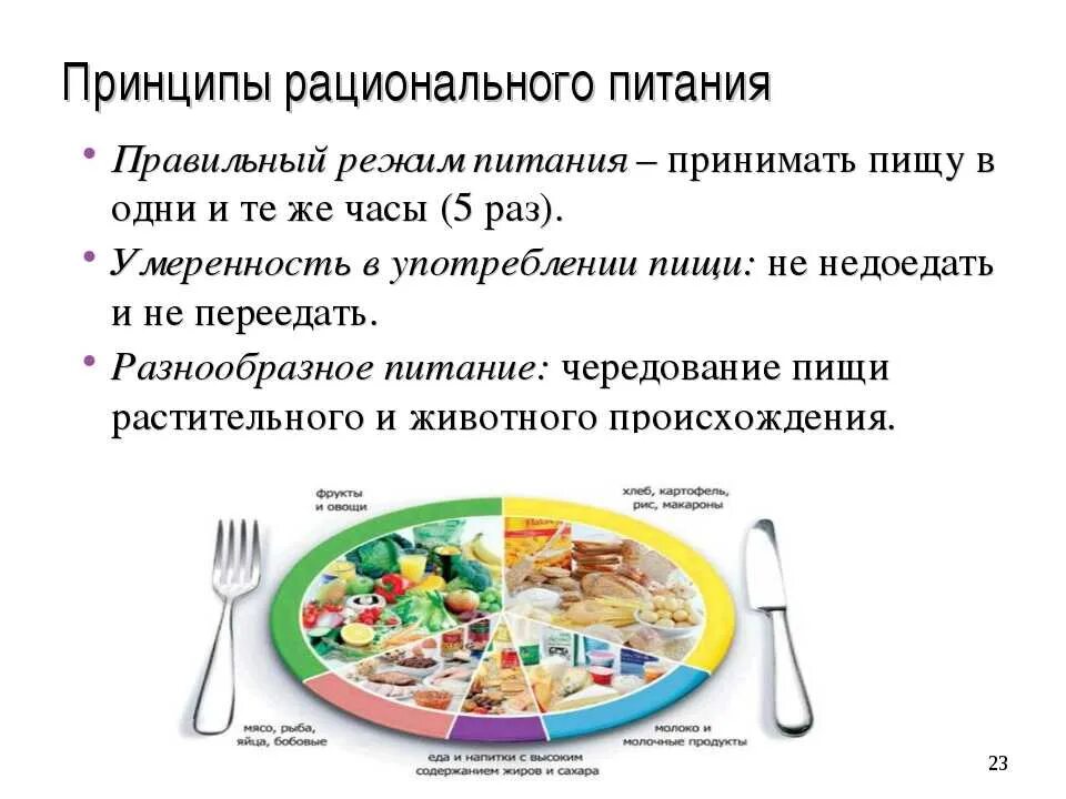 Посещение и питание. Основные принципы рационального питания схема. нормы и принципы рационального сбалансированного питания. перечислите принципы рационального сбалансированного питания. рациональное питание нормы и режим питания.