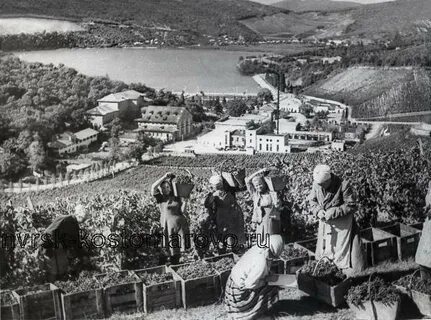 1870 abrau новороссийск