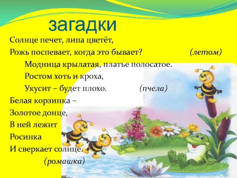 1 загадку про солнце. Загадка про солнце. Загадка про солнышко. Загадка про липу. Загадка про липу для детей.