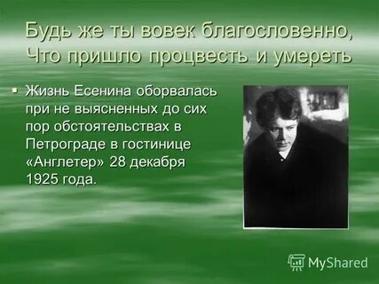 Есенина 23