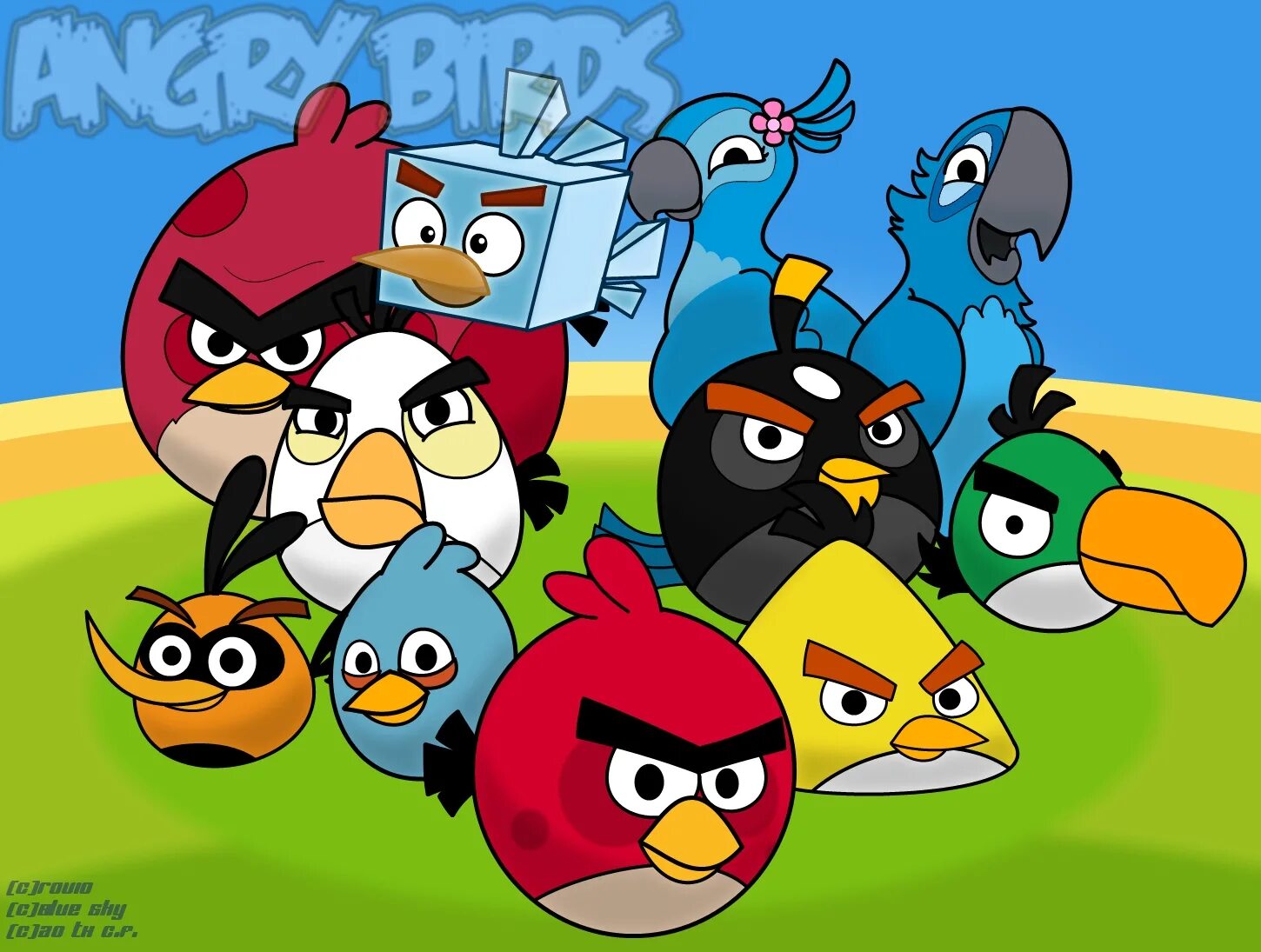 Angry birds новая. Энгри бердз злые птички. Angry Birds птицы. Бешеная птичка. Angry Birds картинки.