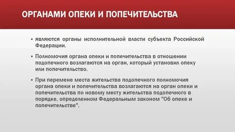 Должностное лицо органа опеки и попечительства